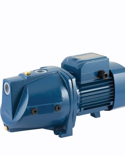 Pompa Pedrollo JSWm 2 BX (1 Phase-Pump Only) 2 jsw_2_pump_only